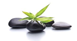 Terapias Paulo Alexandre Lisboa